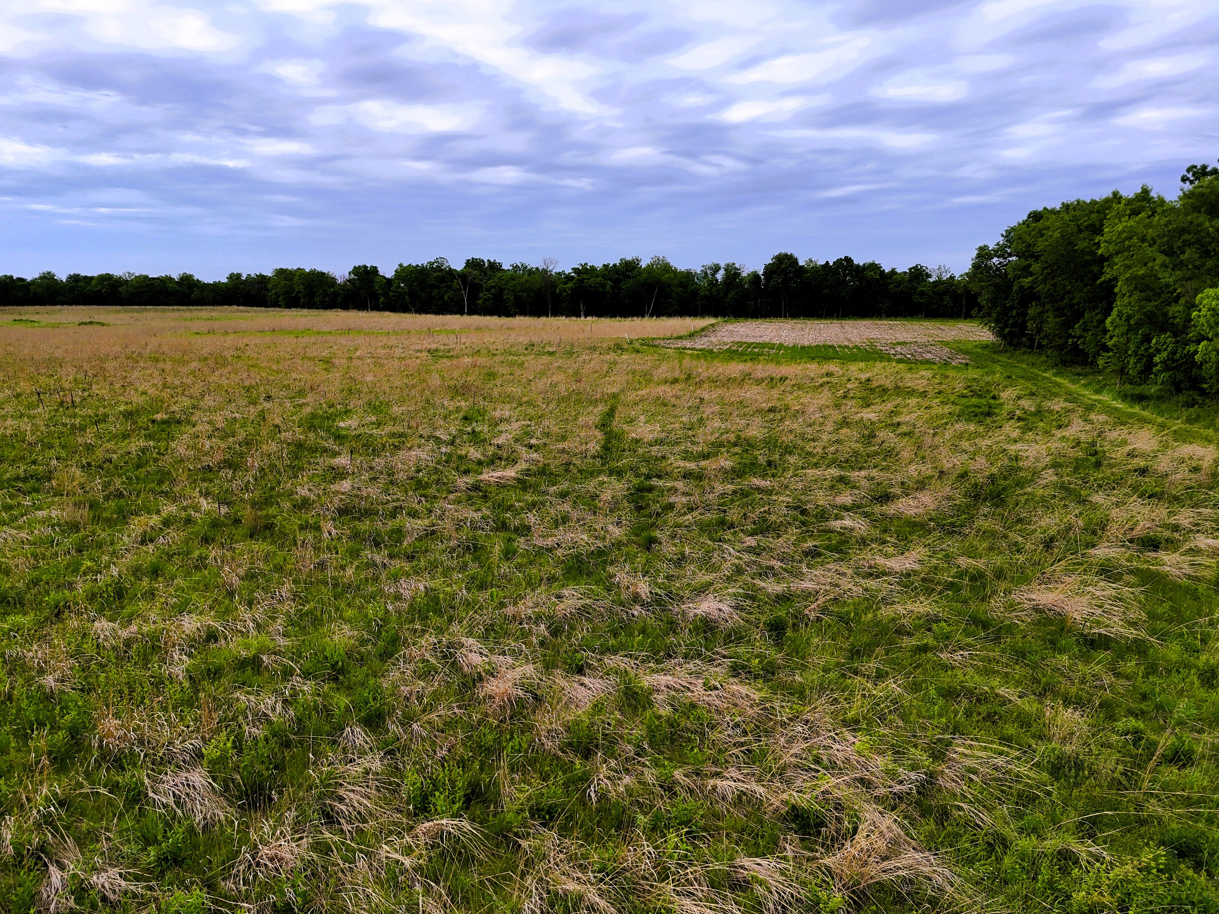 Listing Photo: Ground 16